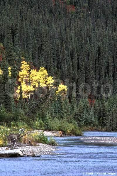 Autumn pictures
