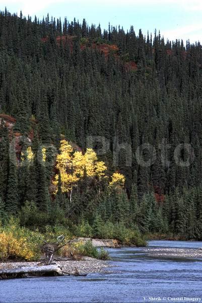 Autumn pictures