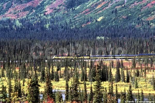 Alaska Express, �������� ������, �����, ��������