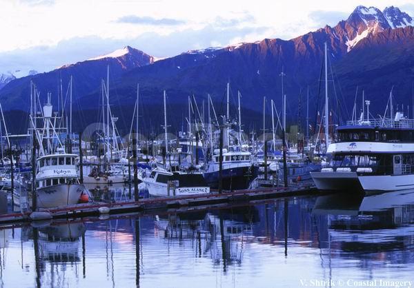 Seward harbor