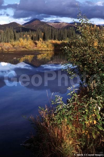 Autumn colors of the taiga