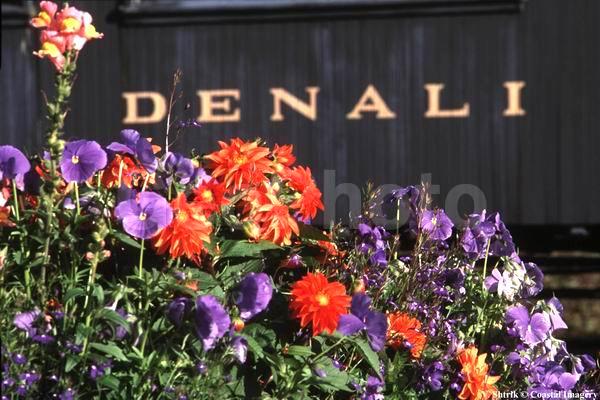 Alaska Express, ������, ������, ����������� ��������, �������� ������, �����, �����, �����, ��������