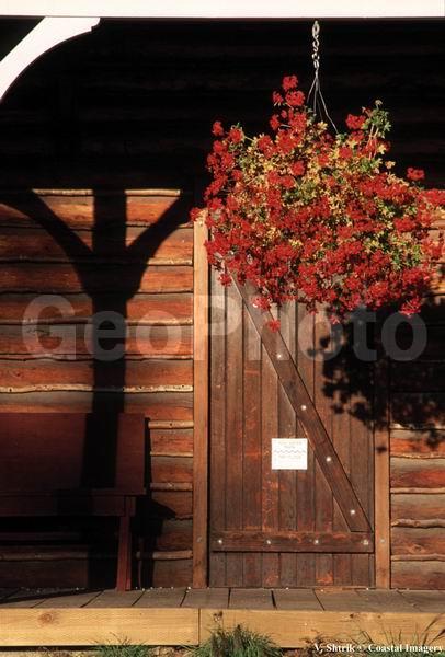 Original country life