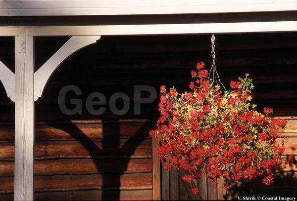 Original country life