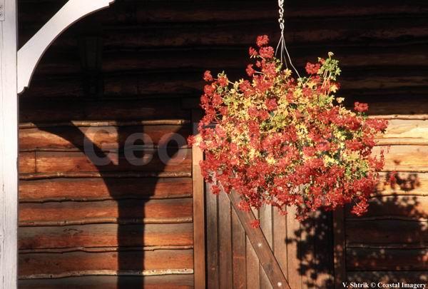 Original country life