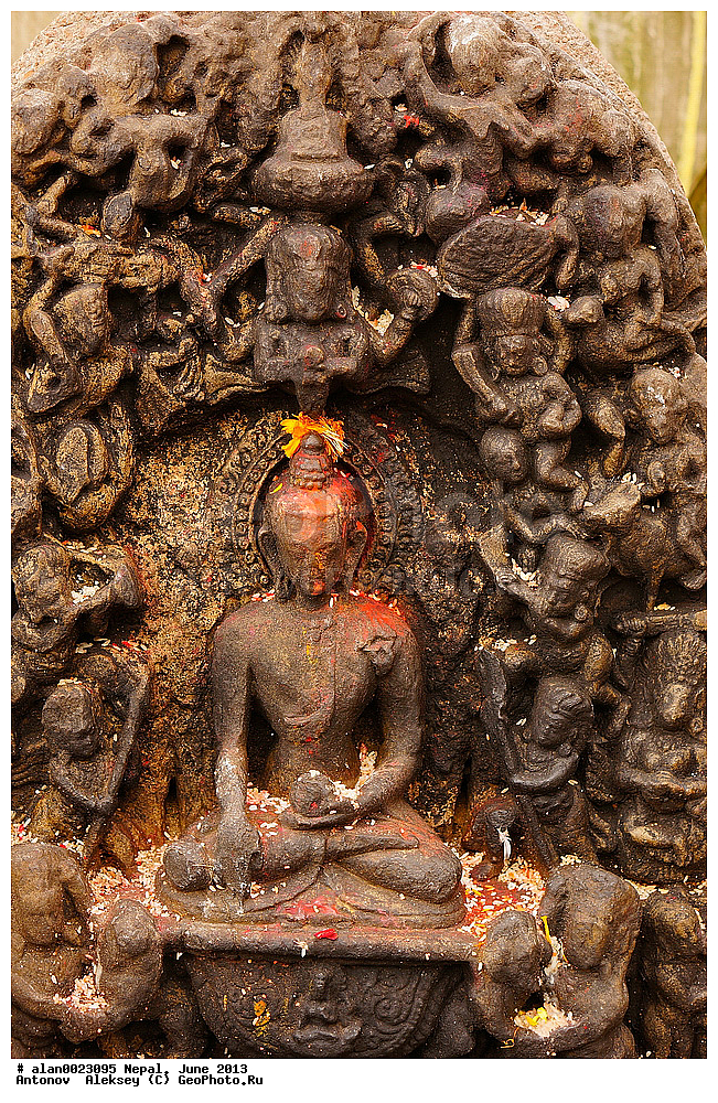 ����� �����������, ��������, �����, ���� 2013