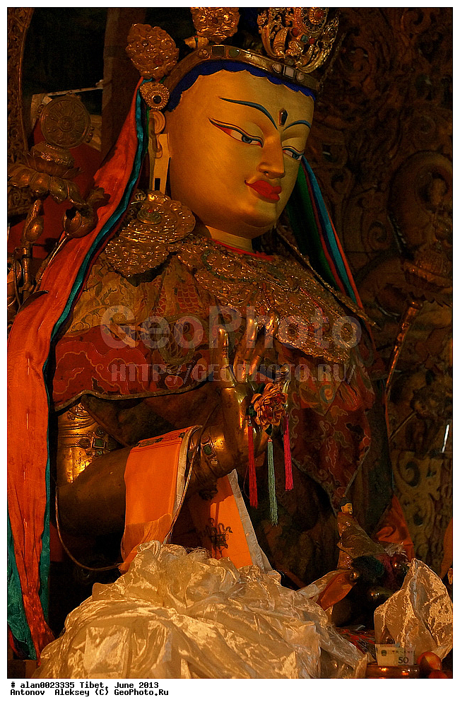 ��������, ��������� ������ ����, �������, ��������, �����, ���� 2013