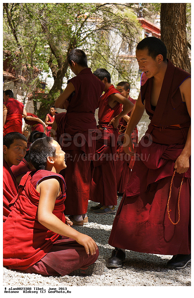 ������  ���������� �������, ��������� ����, �����, �����, ���� 2013