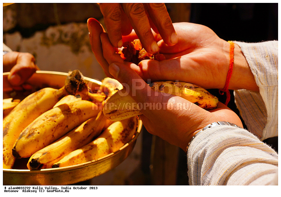 ������, �����, ������, ����, �����, 2013 ������� 