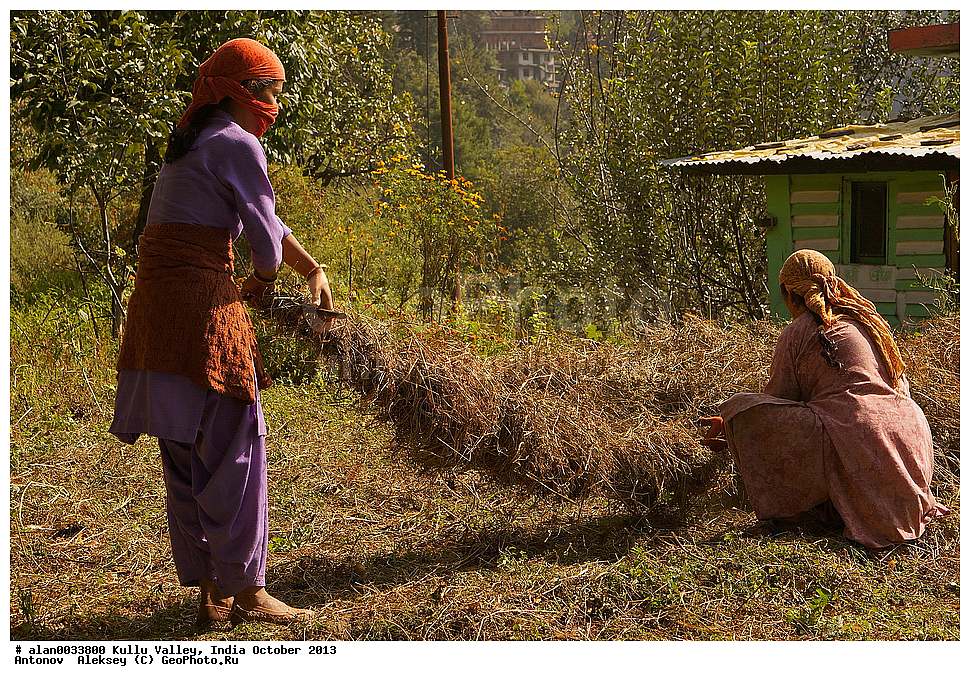 �������, ��������� �������, ������� ������ ����, ������, ������, ����, ������� ������, �����, 2013 ������� 