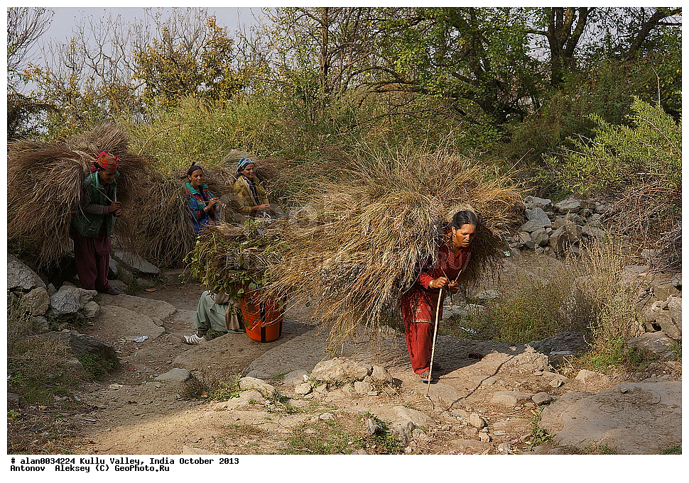 �������, ��������� �������, ������, ����, ������� ������, �����, 2013 ������� 