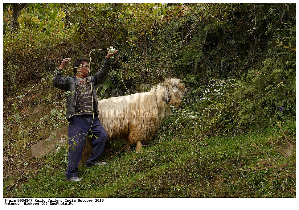 ������, ����, �����, 2013 ������� 