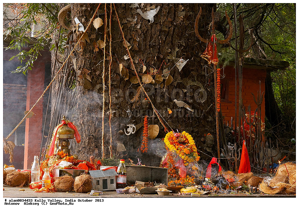 ������, ������, �������, ������, ������, ����, ������� ������, �����, 2013 ������� 