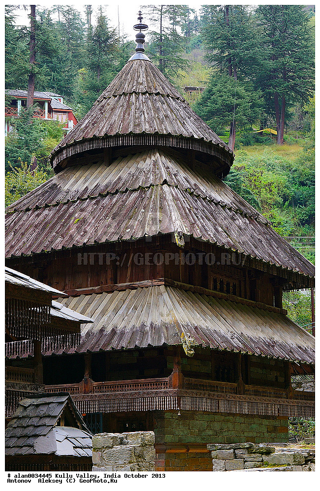 ����, ������� �������, ������, ������, ����, ������� ������, �����, 2013 ������� 