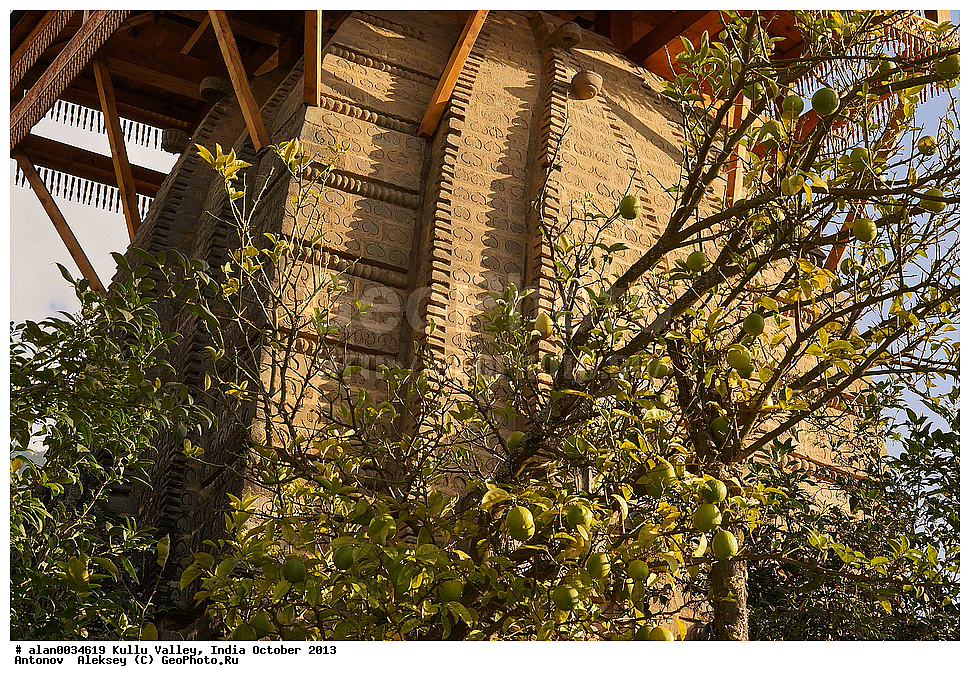 ����, ������, ������, ������ �� �����, ������, ������, ����, ������� ������, �����, 2013 ������� 