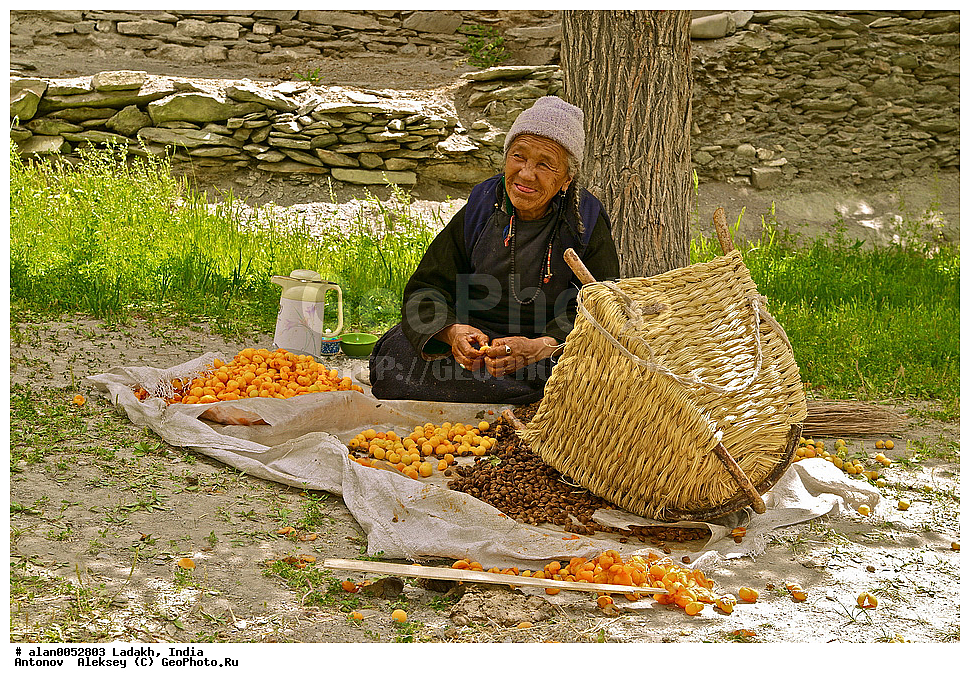 ��������, ������� ������, ������, �����