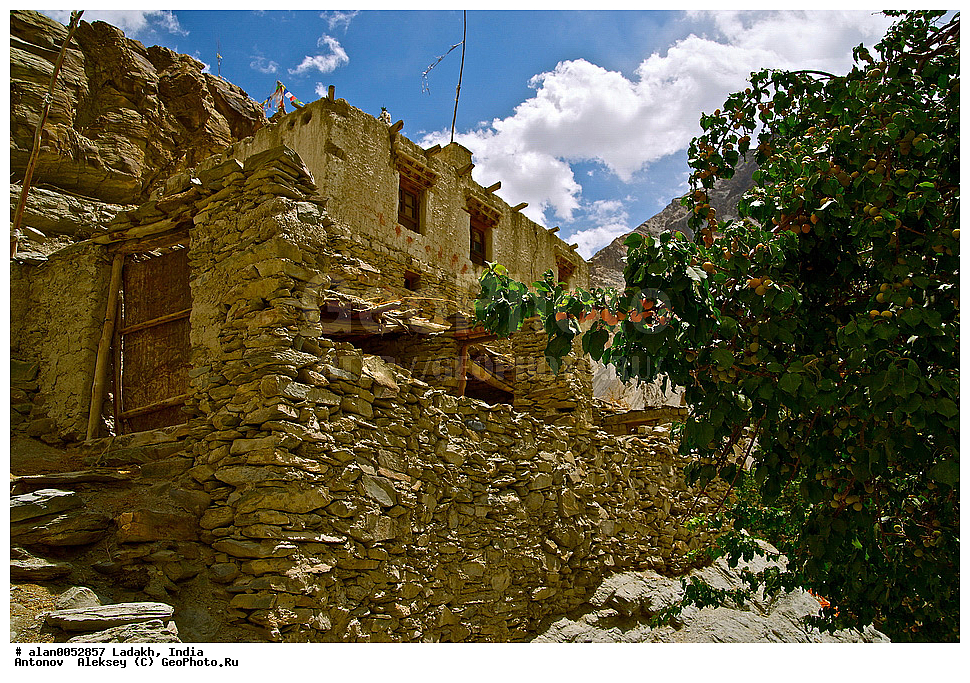 ������� ������, ������, �����