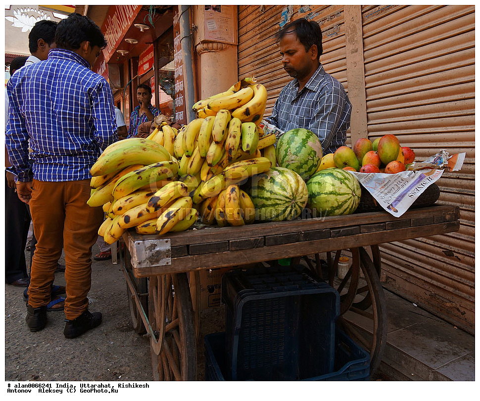 �����, �����������, �������