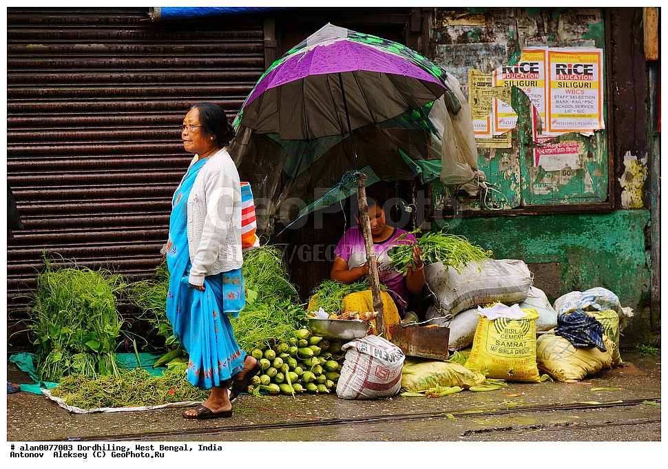 �������, ��������� �������, ����������,  �������� ��������, ����� 