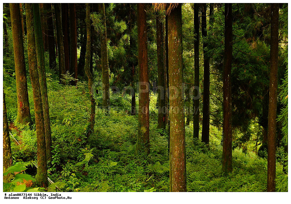 �������, ��������� �������, �������, ������, �����