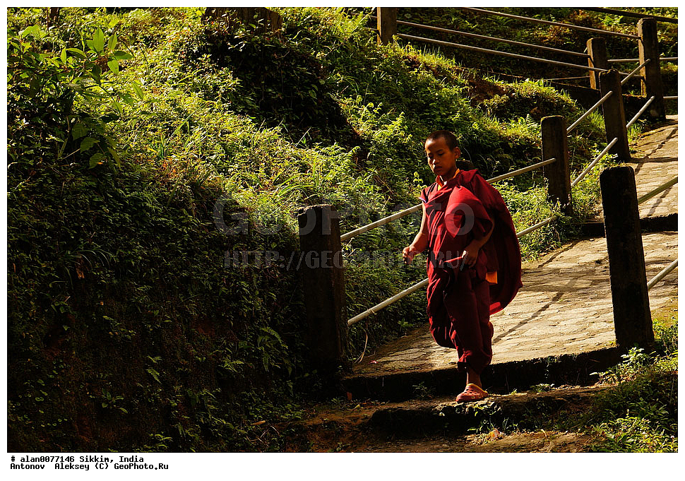 �������, ��������� �������, ������, ���������� ������, ���������, ���������� ���������, ��������� ����� ������, �������, ������, �����