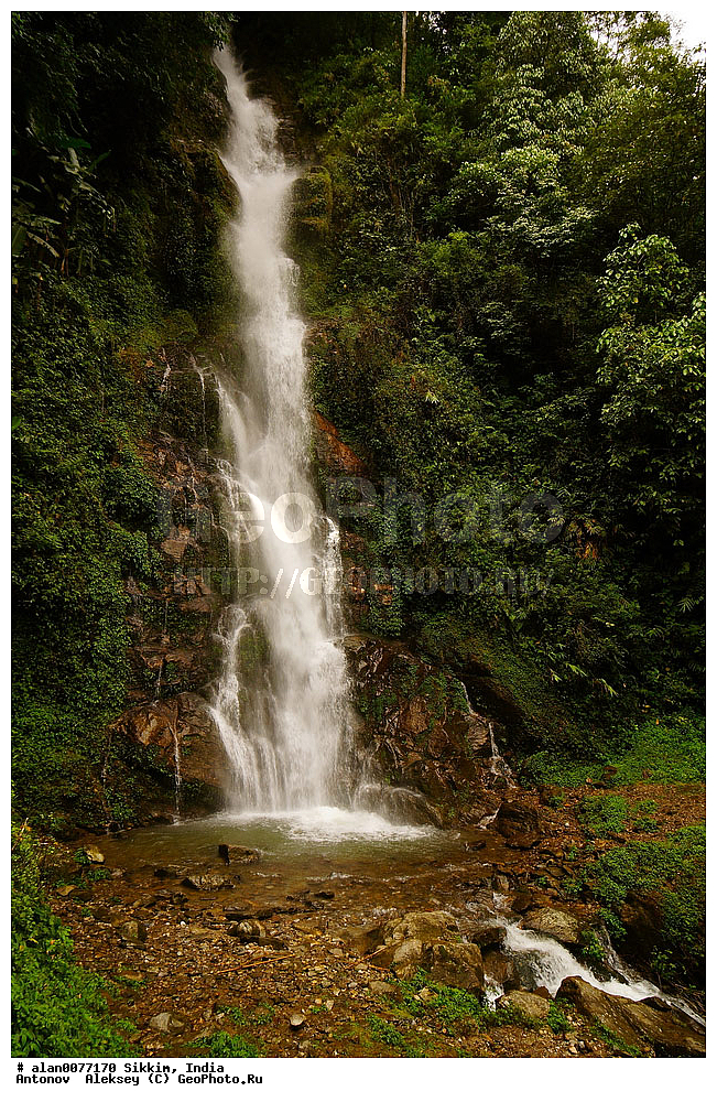 �������, ��������� �������, ��������, ������, �����