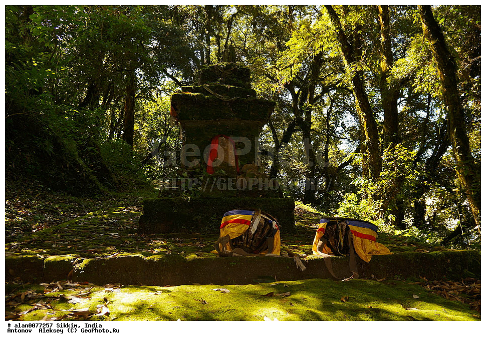 �������, ��������� �������, �������, ���������, ���������� ���������, ��������� ����� ������, �������, ������, �����