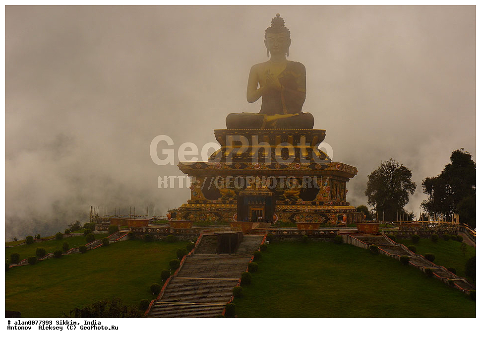 �����, ������� �����, ����, ����� ����, ��������, ������, �����