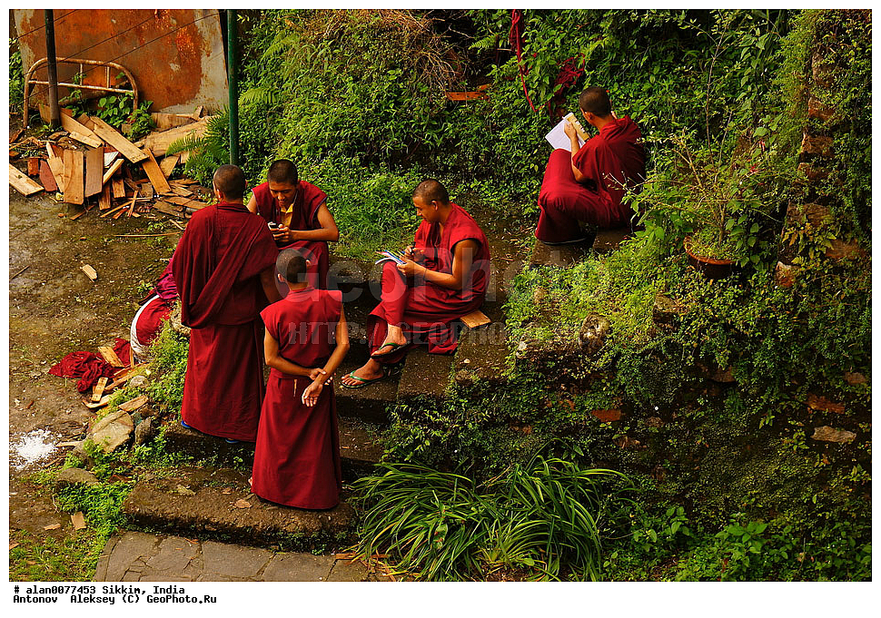 �������, ��������� �������, ������������� ���������� �������� �������, ������, ������, �����