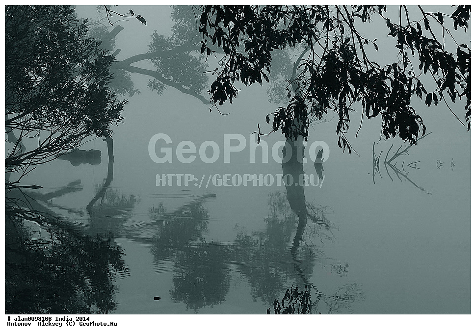 ����, ���� ����, ����������, ���������� �������, ���������, �����, 2014�