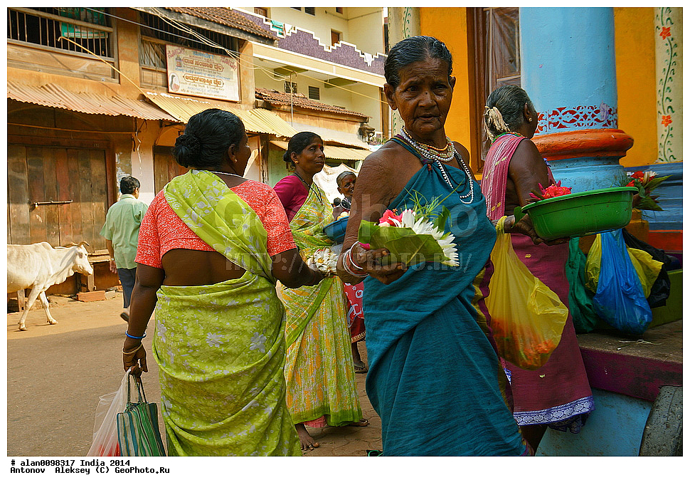 ���� ��������, �������, ���������, �����, 2014�