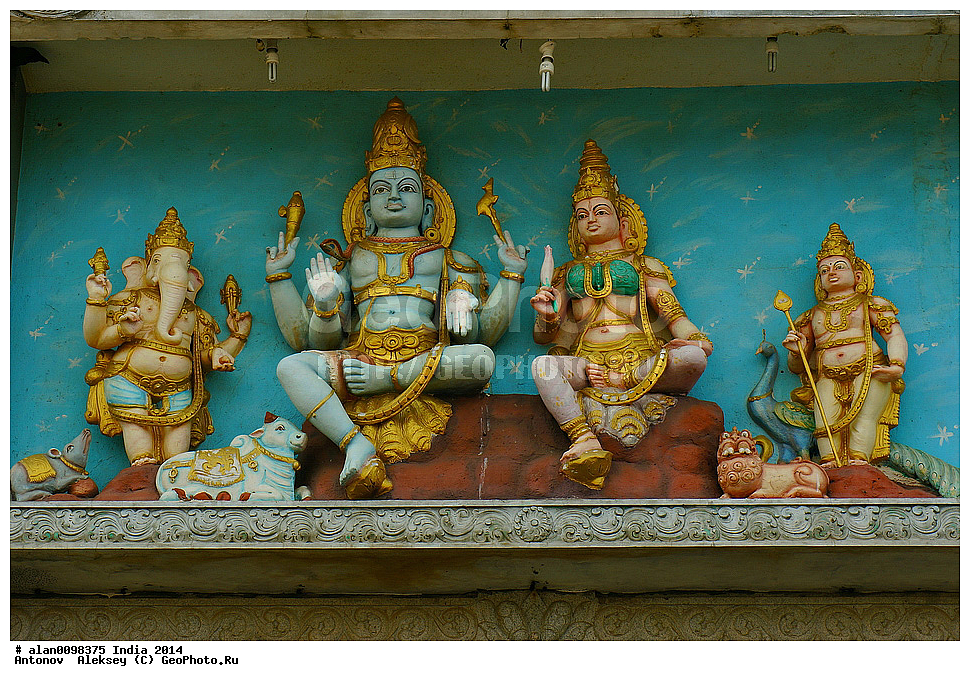 �������� ��������, ����������� ����, � ����������, ���������, ���������, �����, 2014�