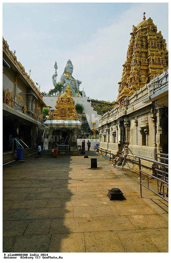 ����, �������� �������� � ����������, ���������, ���������, �����, 2014�