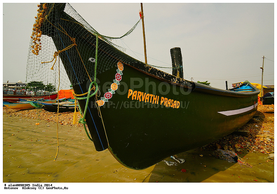 �������� �����, ���������, ���������, �����, 2014�