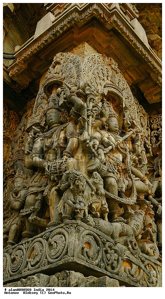 �����, �����������������, ������, ���� ������������, �������, ���������, �����, 2014�