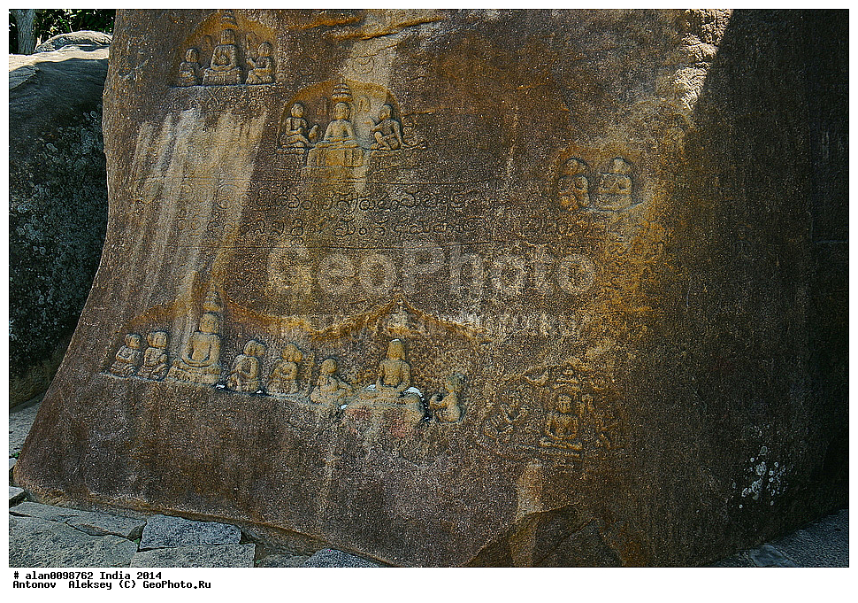 �������� �������� �����������, ������ �������, ���������, �����, 2014�