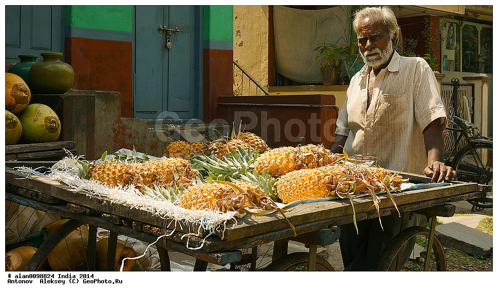 ������ �������, ���������, �����, 2014�