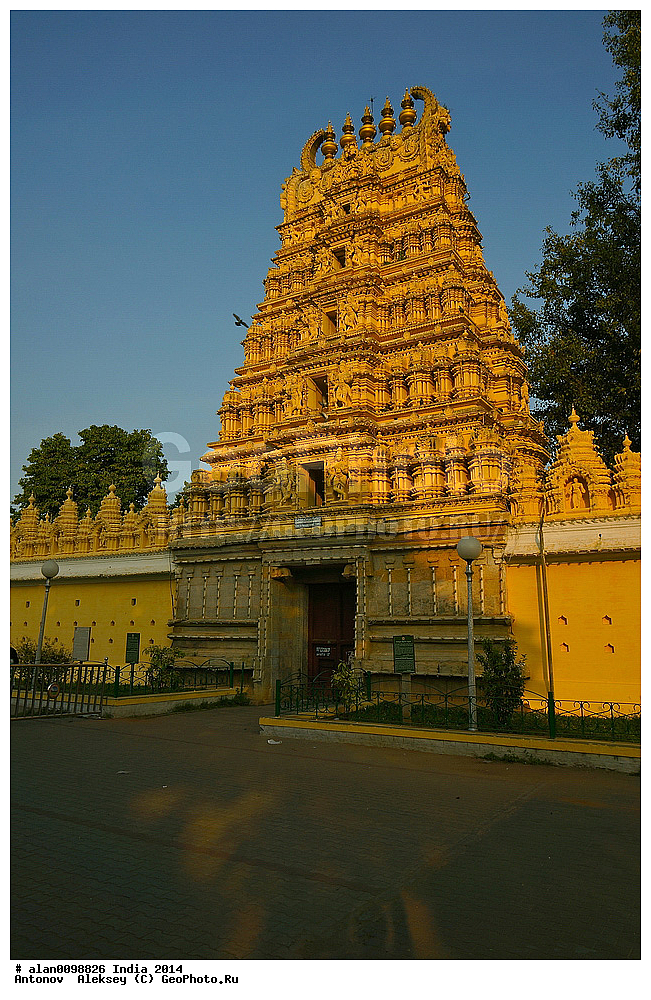 ���� �����, ���������� ������, ������ ���������������������, ������, ���������, �����, 2014�