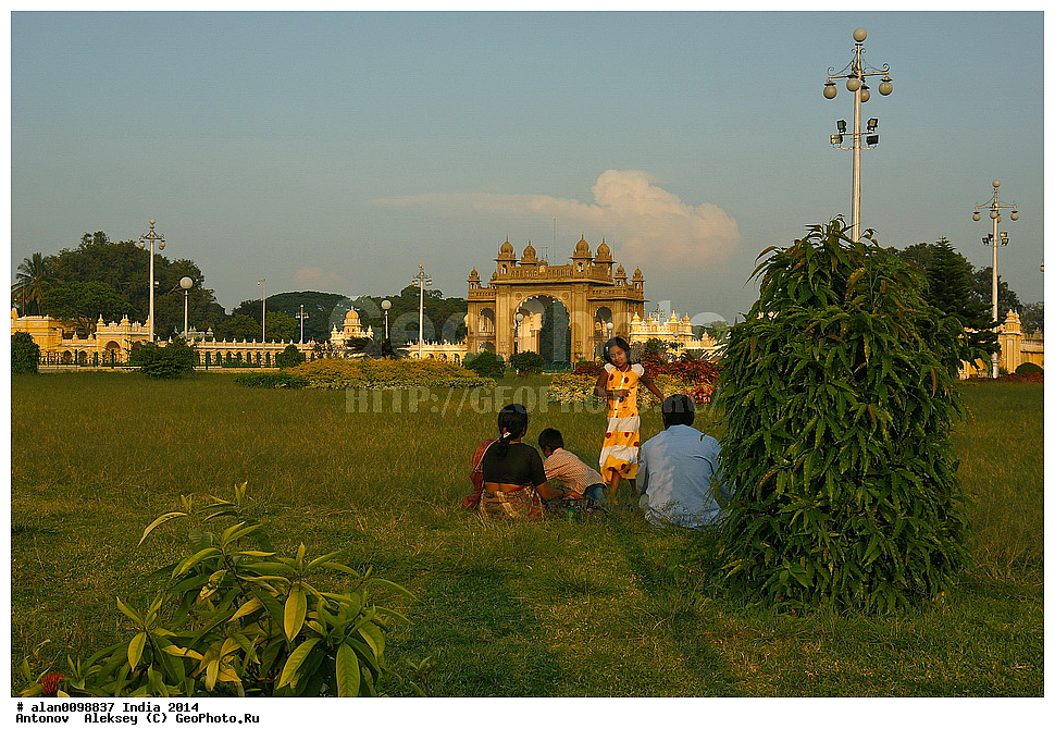 ������ ���� �����, ������, ���������, �����, 2014�