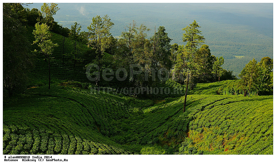 ���������, ������ ���������, ���������, �����, 2014�