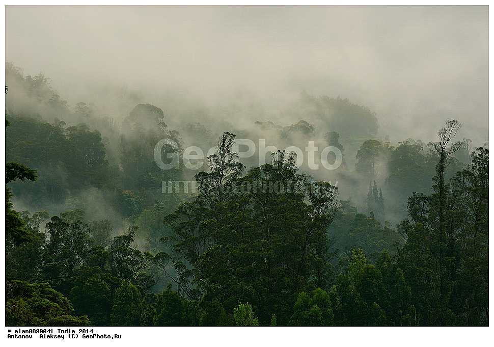 ���, �������� ����, �������, ������� ����, ����� ����, �����, 2014�