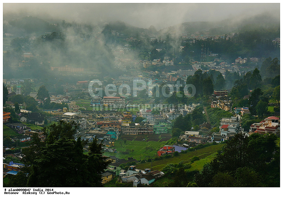 ���, �������� ����, �������, ������� ����, ����� ����, �����, 2014�