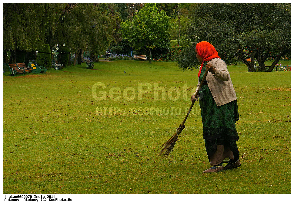 ������������ ����, ������������ ��� � ���, ���, �������� ����, �������, ������� ����, �����, 2014�