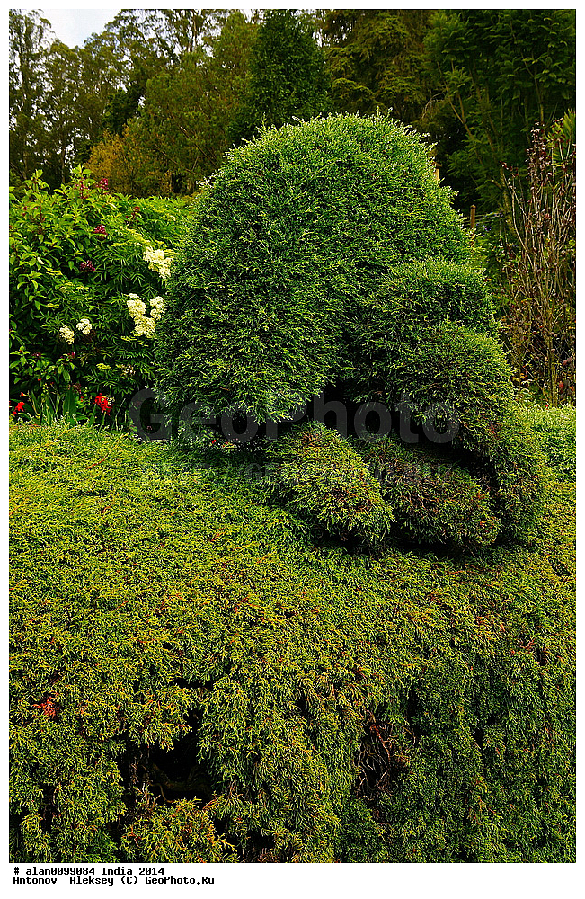 ������������ ��� � ���, ���, �������� ����, ������, ������� ����, �����, 2014�