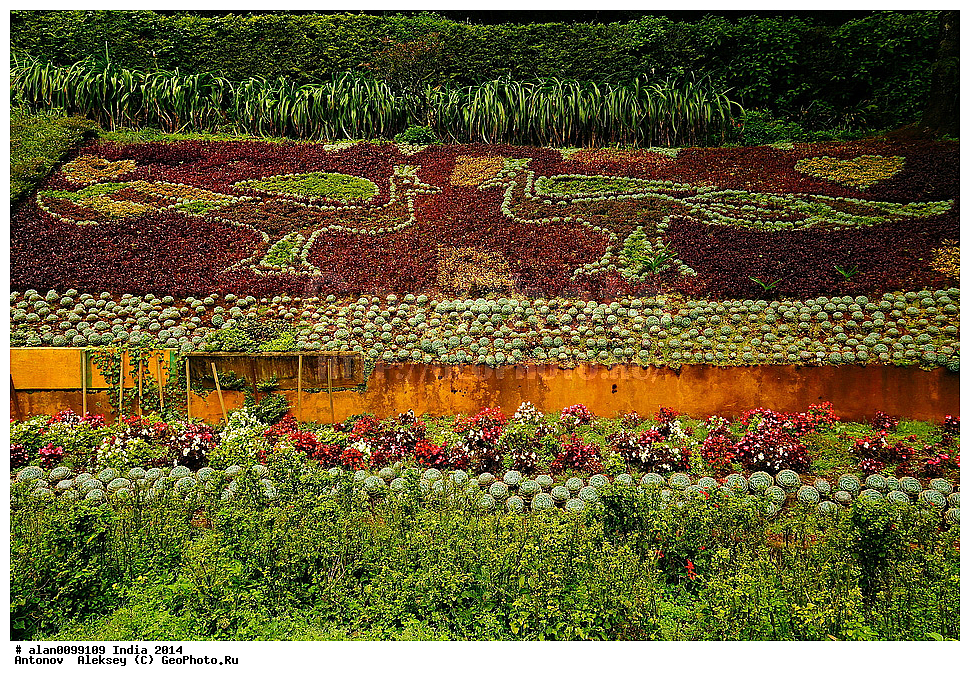 ������������ ��� � ���, ���, �������� ����, �������, ������� ����, ����� ����, �����, 2014�