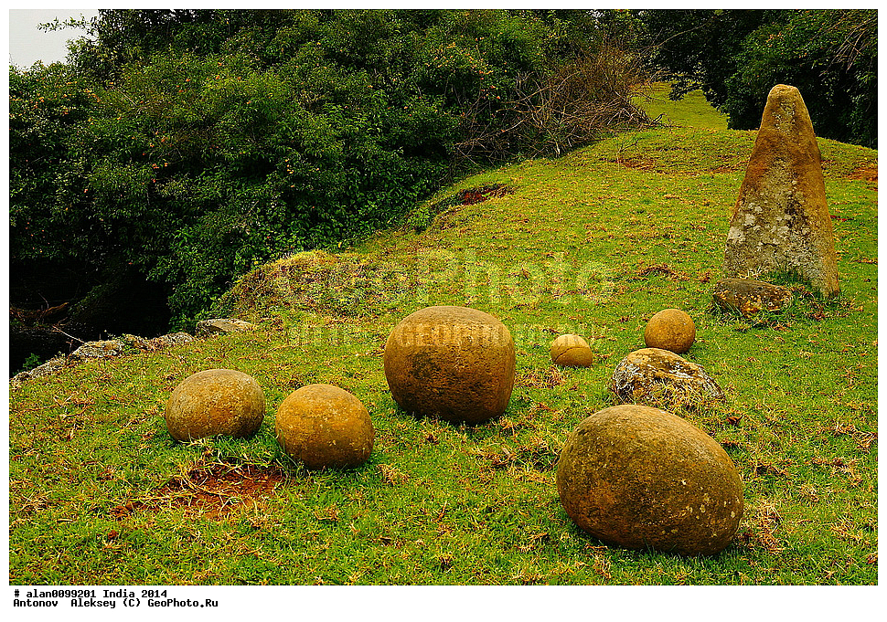 ����, �������� ����, �������� ����, �������, ������� ����, ����� ����, �����, 2014�