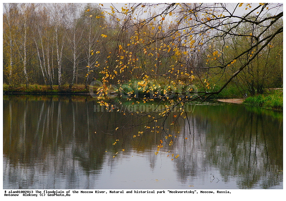 �����, ������, ������� ������, ����, ������-����, ����, ����� ������, ������������ ����, ������, ������ 