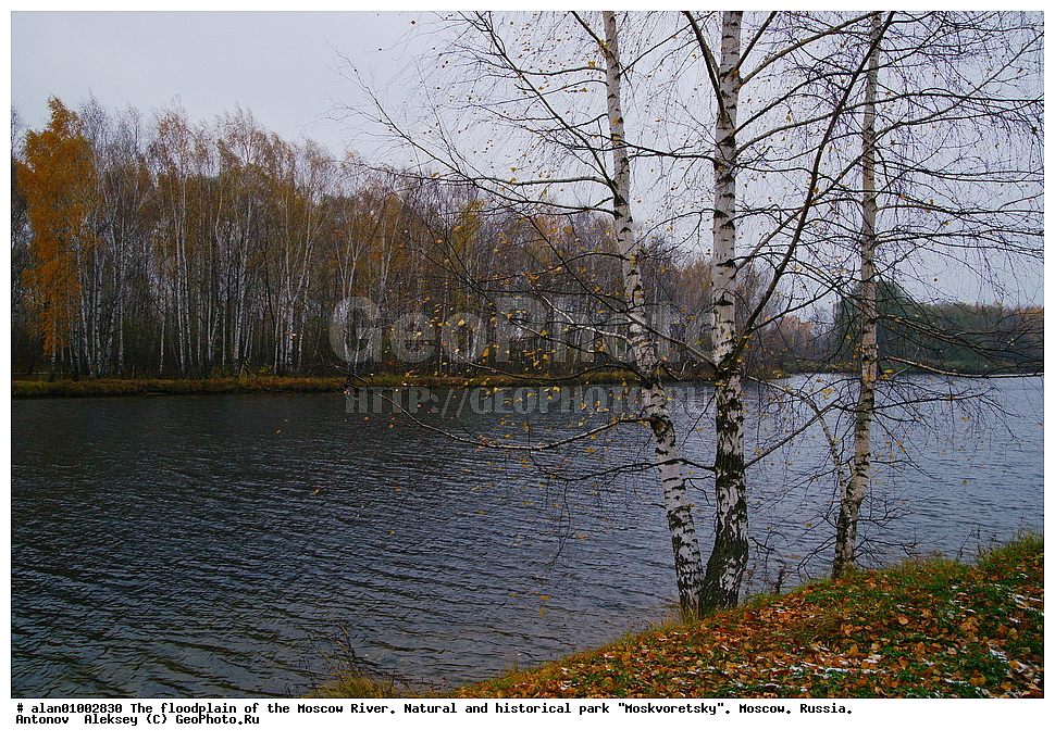 �����, ������, ������� ������, ����, ������-����, ����, ����� ������, ������������ ����, ������, ������ 