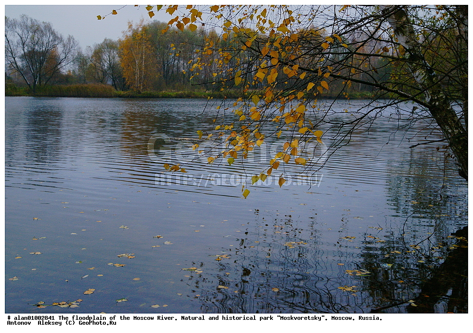 �����, ������, ������� ������, ����, ������-����, ����, ����� ������, ������������ ����, ������, ������ 