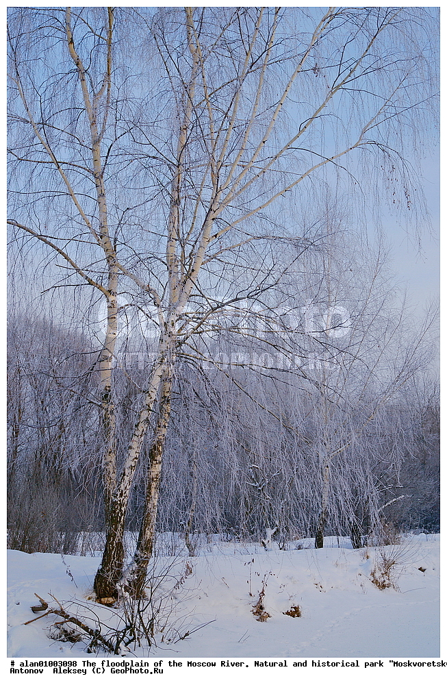 ����, ������, ������ ������, ����, ������-����, ����, ����� ������, ������������ ����, ������, ������ 